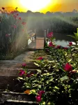 Pingview Villa Resort Hotels in Tak