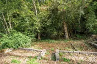 25%Off30DayStays+4Bedrooms+Walkable+Beautiful+BBQ