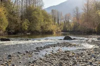 Charming 3-bedroom cottage in North Bend between Mt Si and Rattlesnake Ridge