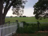 Quiet country life 10 minutes to New Braunfels or San Marcos