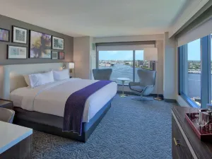 Hilton Norfolk The Main