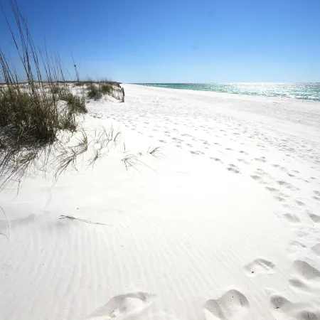 Texas Tides