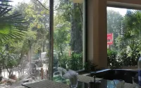 Red Onion Hotel & Restaurant Hotels in Abbottabad