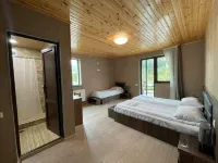 Hotel Elite House Hotels in Mestia
