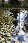 Stayau 2Br Yarra Valley Cottage