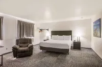 Americas Best Value Inn Birch Run Hotels in Birch Run