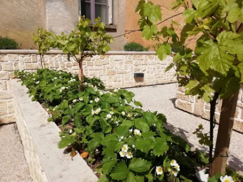 特雷尼旅館 - 青年旅舍