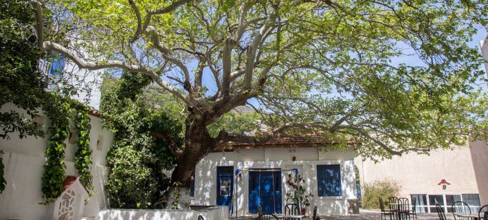 Sariza Spring Hotel Hotels in Andros