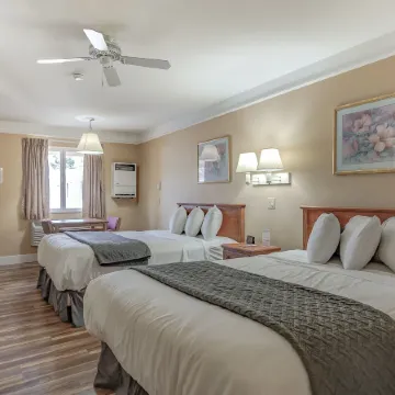 Shasta Pines Motel & Suites