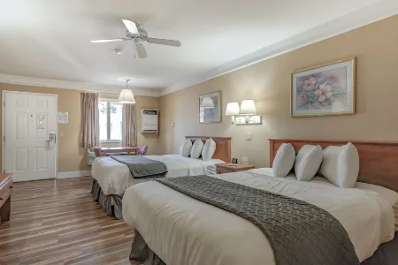 Shasta Pines Motel & Suites