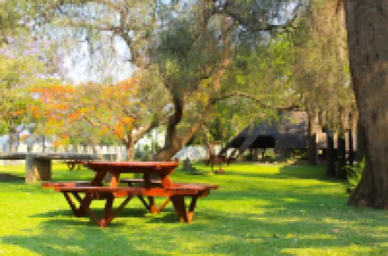 Spring Resort Hotels in 