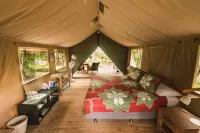 Ikurangi Eco Retreat
