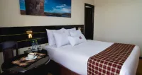 TerraMistica - Puno Centro