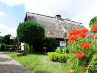 Ferienhaus in Gegensee am Naturpark Các khách sạn gần Torgelow