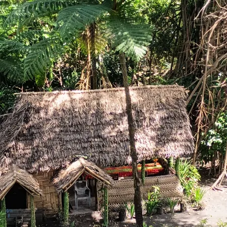 Glowing view tree house and Bangalow