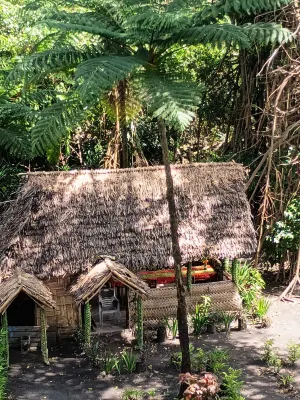 Glowing view tree house and Bangalow - Bữa sáng