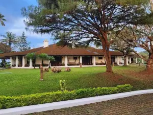 Parisons Plantation Experiences by Abad