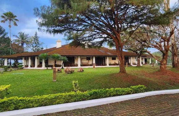 阿巴德帕裏森斯種植園體驗