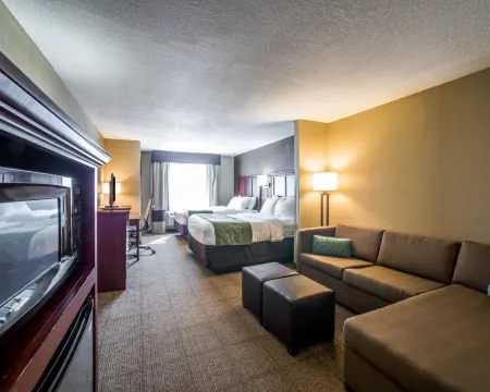 Comfort Suites Columbia - University Area