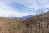 The Edelweiss Estate - Mountain Views - Villas