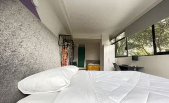 Colmena Hotel Cdmx Tonala