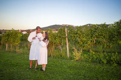 Amenity Penzion Horni Vestonice Hotels near Kozi Hradek - Mikulov