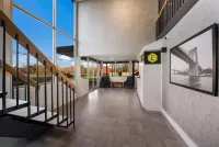 에센스 익스프레스 웨인