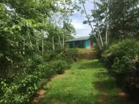 Villa with Primary Forest View