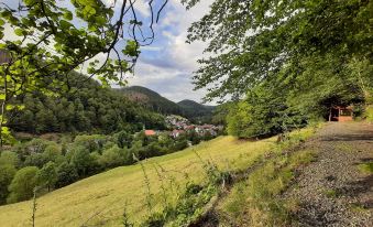 Harz Hotel Iris