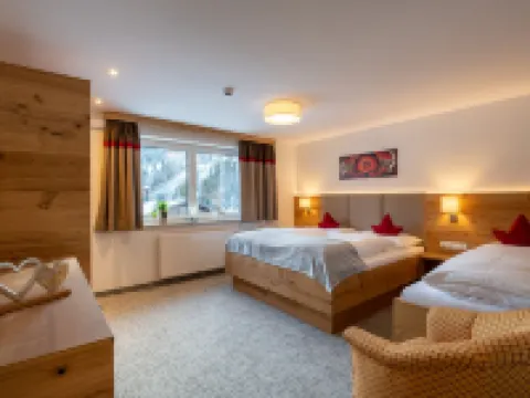 Appartement Schattauer Hotels in Wagrain