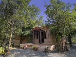 Pench Jungle Camp