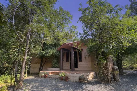 Pench Jungle Camp