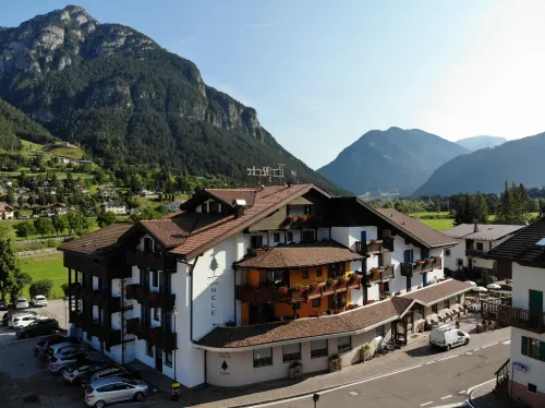 Hotel Nele Hotels in Predazzo