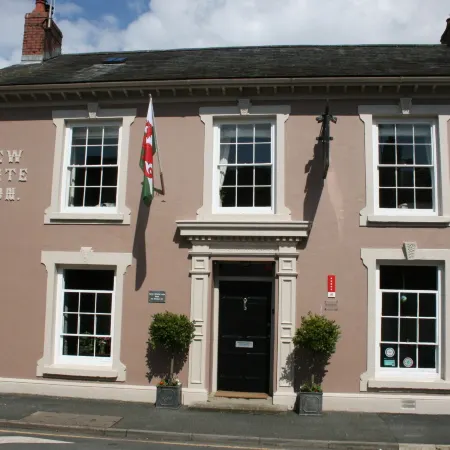 The New White Lion