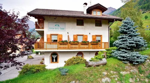 Alpen Hotel Rabbi Hotels in Terzolas