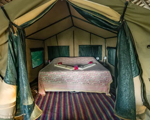 Kitu Kiblu Hotels in Mafia