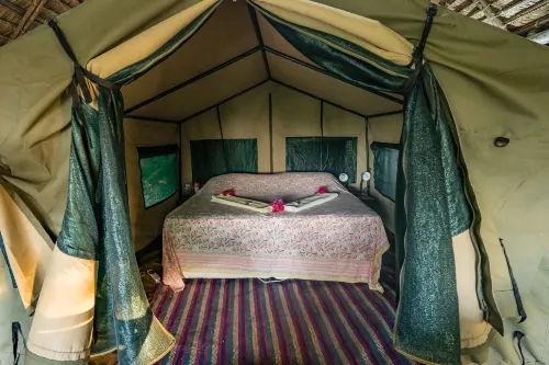 Kitu Kiblu Hotels in Kilindoni