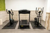 Hotel Finca Los Abetos - Phòng Gym