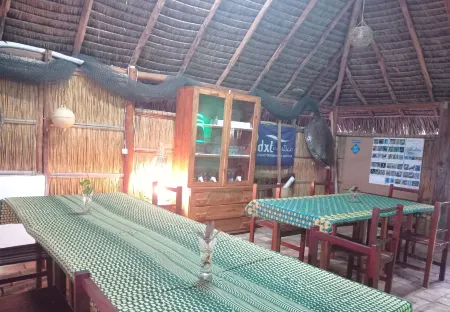 Duna Lodge Отели в г. Jangamo