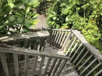 Mangawhai Retreat Apartments Hotels in Wellsford