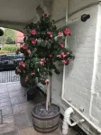 Clayhanger Guest House Hôtels à : Newcastle-under-Lyme District