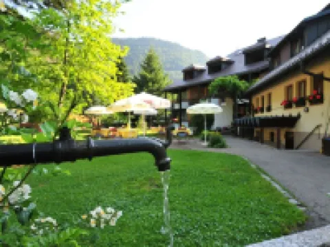 Hotel Lawine Hotels in Todtnau
