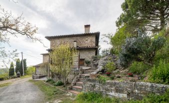 Fattoria di Cintoia