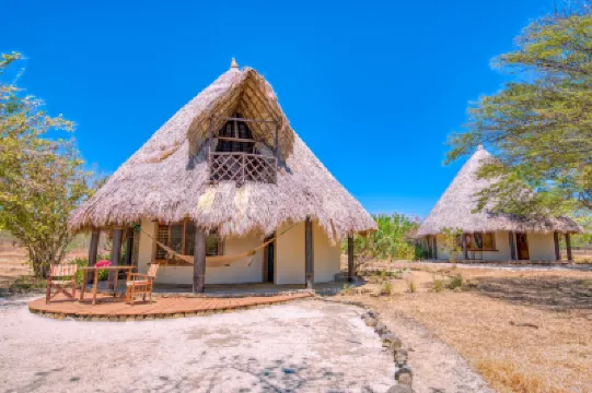 Hotel Punta Teonoste Hotels in 