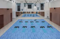 Hôtel Lyon Métropole - Fitnessstudio
