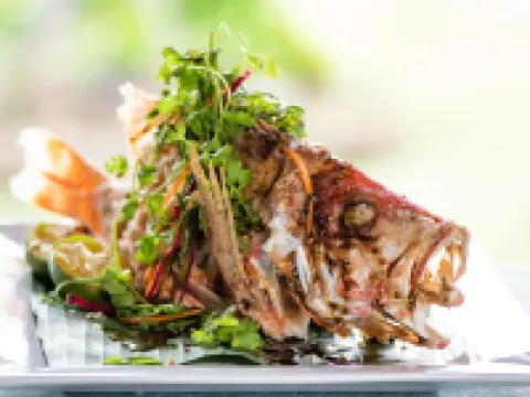 Jean-Michel Cousteau Resort Fiji Hotels in Vanua Levu