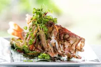 Jean-Michel Cousteau Resort Fiji Hotels in Vanua Levu