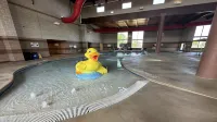 Holiday Inn STEVENS POINT - CONVENTION CTR by IHG - Badekar