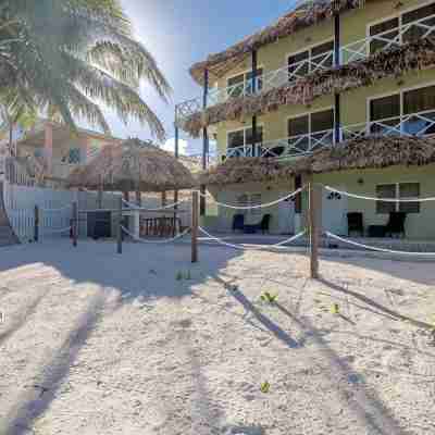 The Palapa House Hotel Exterior