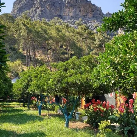 Olympos Tatilya Pansiyon